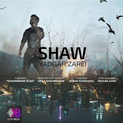 یادگار زارعی آرام آرام بباری